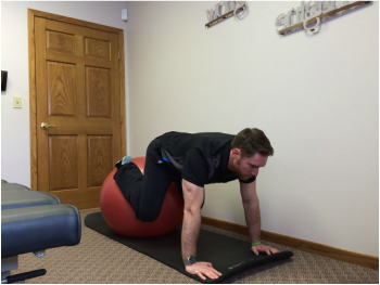 core stability exercise, best core exercises, swiss ball tuck, swiss ball plank