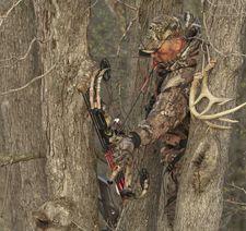 bow hunter in tree stand, hunting safety, hunting accident 